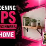 Gardening Tips for Beginners at Home